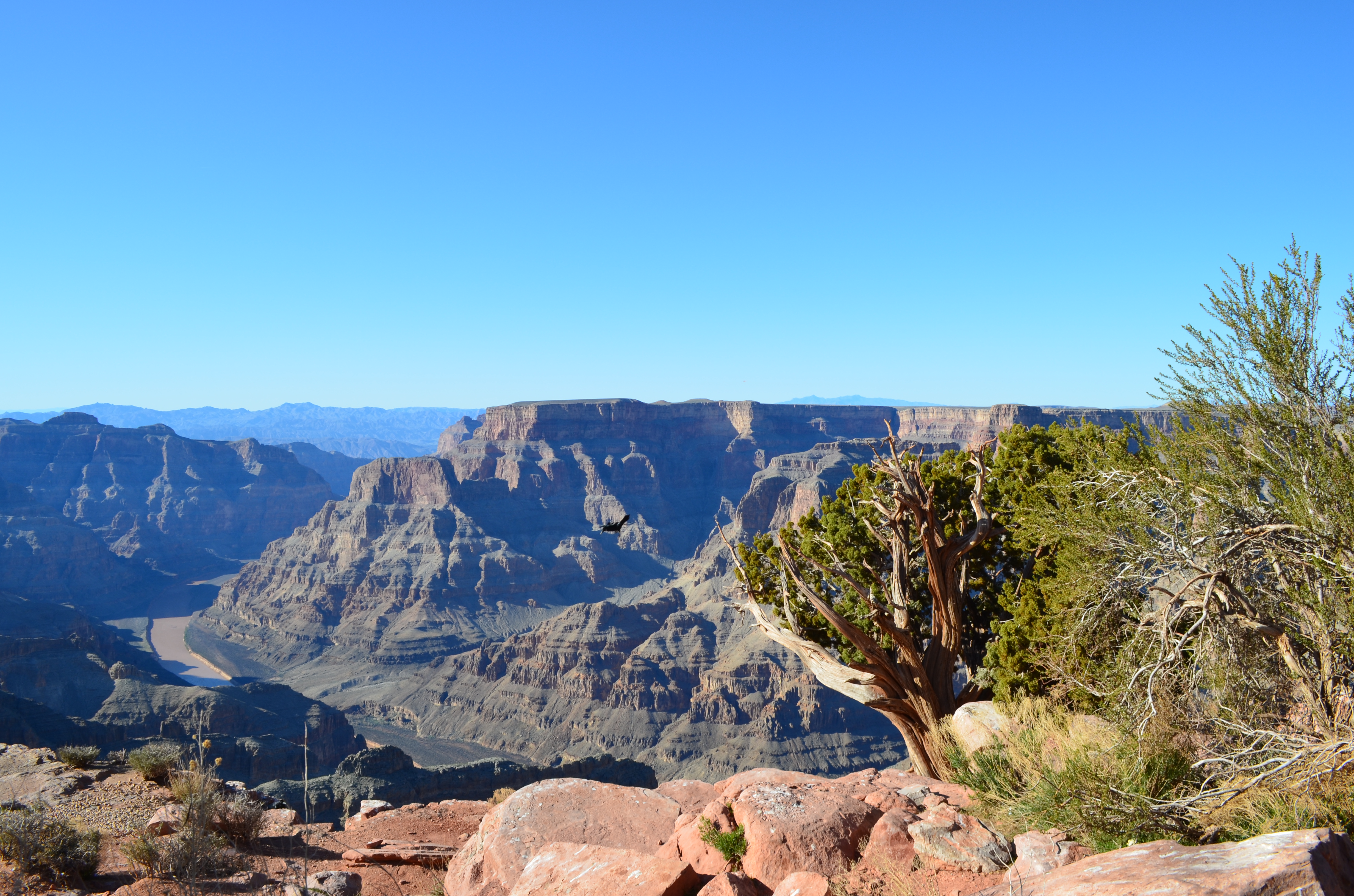./2016/04 - Las Vegas/Grand Canyon Skywalk/DSC_0361.JPG
